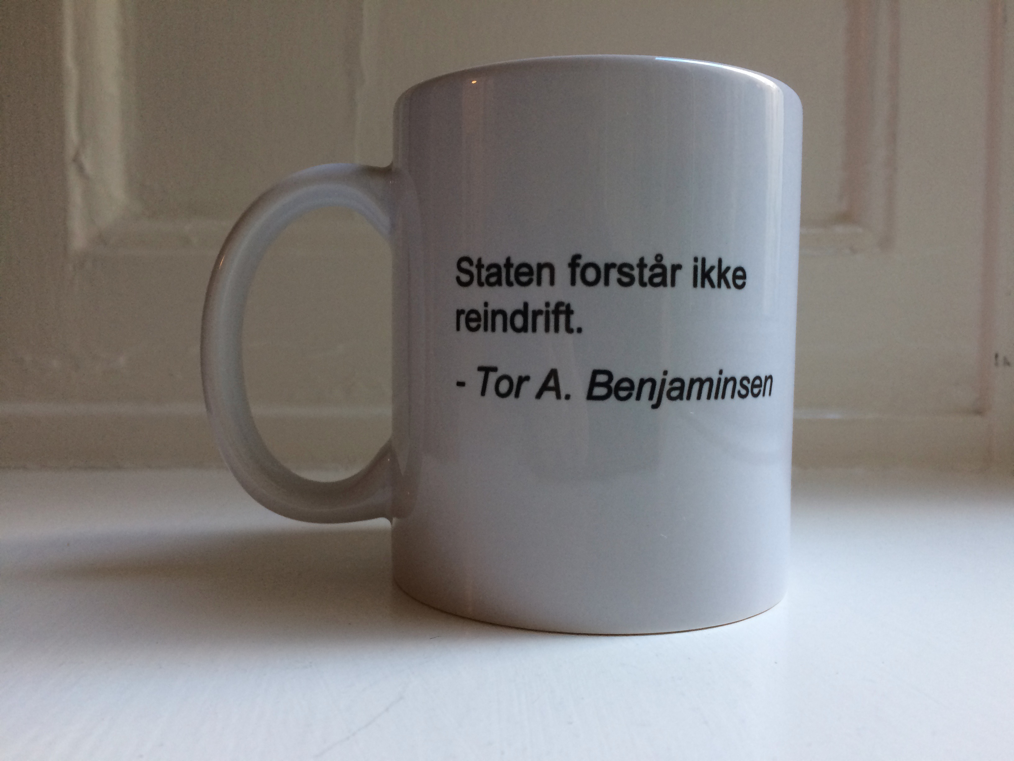 Tor A. Benjaminsen